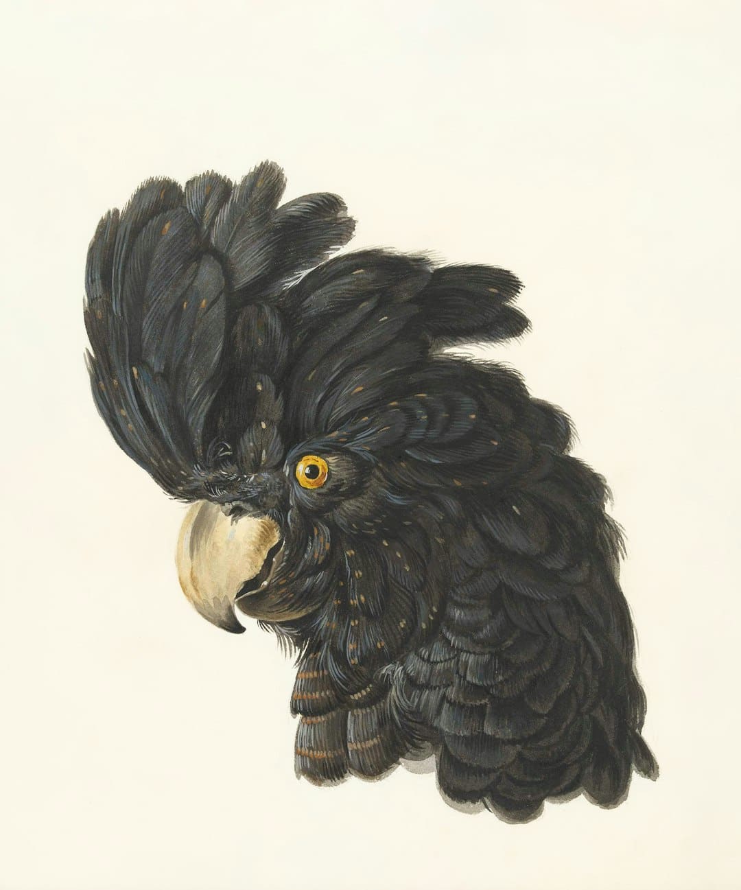 曾莲英代表：文旅项目加快开展
